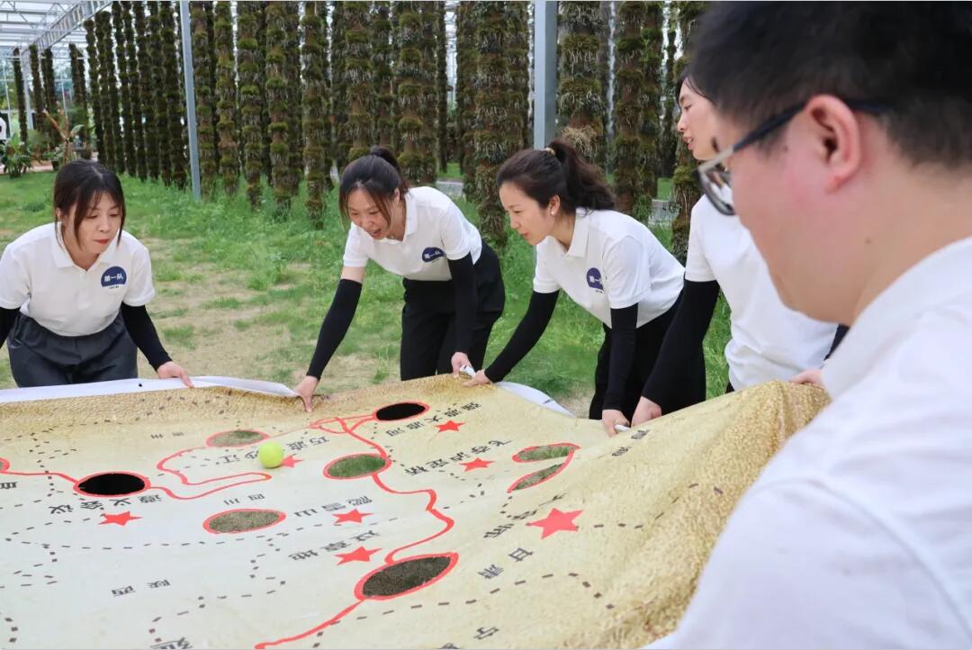 1714014063157840.jpg 8.jpg