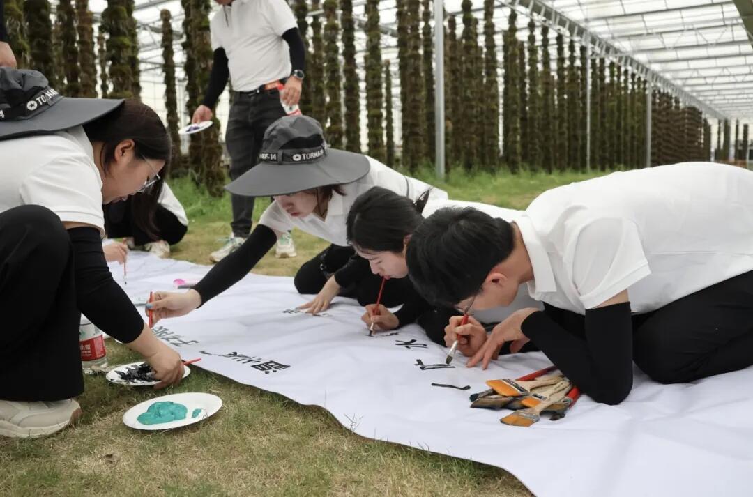 1714014091619226.jpg 16.jpg